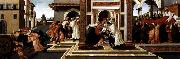 BOTTICELLI, Sandro Last Miracle and the Death of St Zenobius oil on canvas